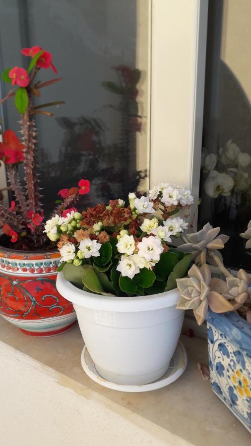Lucy Home Lussuoso Appartamento Recanati Mare Giardini Naxos Bagian luar foto